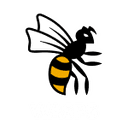 Wasps