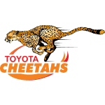 Cheetahs profile